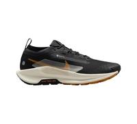 Nike Pegasus Trail 5 Gore-tex Mens Fashion Trainers in Black - 11 UK