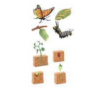 Pegciuho 2 Sets of Butterflies, Plants, Figures, Educational Toys, Science Learning, PP Material, Suitable for Children, Home Decoration