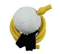 Pegciuho Baseball Throwing Elastic Training Device to Improve Your Swing in The Gym