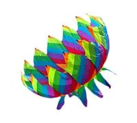 Pegciuho Flower Kite Soft Kite Sports Toy Giant Frameless Polyester Rotating Kite for Hiking Spring Garden Camping Summer, rainbow color
