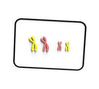 Pegciuho Meiosis Chromosome Changes Model Teaching Instruments Division Materials Demonstration Kit for School Student, Red Yellow