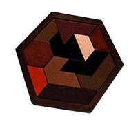 Pegciuho Wooden Block Puzzle Logical Game Gift Challenging,Color Perception,Shape Pattern Block Geometric Tangram for Preschool, 11 Blocks
