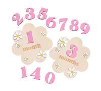 Pegciuho Wooden Circle and Disc Signs to Announce A Monthly Milestone, Ideal As A Nursery Or Shower Gift. Round Sign for A, Pink