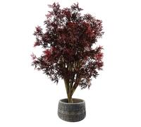 Pegdev 120cm Artificial Red Aralia Tree with Composite Embossed Planter Pegdev Red