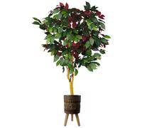 Pegdev 120cm Capensia Ficus Tree in Elephant Planter for Home or Office in Red Pegdev Red