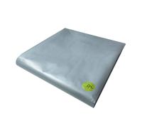 Pegdev 6m x 4m 250G Clear Heavy Duty Polythene Plastic Sheeting Garden DIY 62.5MU Pegdev Clear