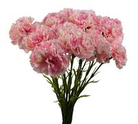 Pegdev Pack of 12 Artificial Pink Carnation Stems for Home or Wedding Use Pegdev Pink