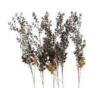 Pegdev Pack of 6 85cm Artificial Dark Berry Stem for Bouquets & Displays in Dark Red Pegdev Dark Red