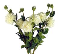 Pegdev Pack of 6 Cream Dahlia PomPom Stems 75cm Silk Flowers Pegdev Cream