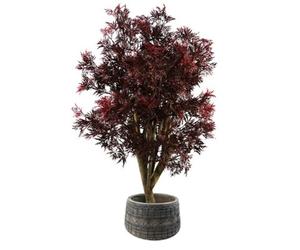 Pegdev - Pdl 120Cm Artificial Red Aralia Tree With Natural Trunk In Large Composite Embossed Hand Finished Planter Uv Resistant