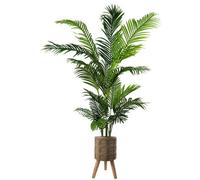 Pegdev - Pdl - 180Cm Artificial Palm Tree With 40Cm Zandi Planter, Wired Stems, Ideal For Home Or Office