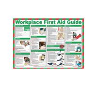 Workplace First Aid Laminated Poster A2 Landscape Health & Safety Guide Pegdev White One Size