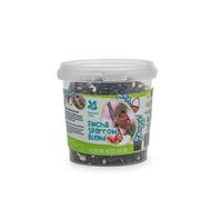 Pegdev - Pdl - Nt Range Kids Finch & Sparrow Seed Blend - 400G Tub - Energy-Rich Food For Garden Birds - Recyclable, Refillable