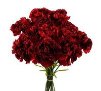 Pegdev - Pdl - Pack Of 12 Artificial Carnation Flowers Red Faux Bouquet Stems For Home Or Wedding Decoration