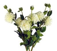 Pegdev - Pdl - Pack Of 6 Artificial Dahlia Pompom Stems 75Cm Cream Silk Flowers For Home Décor
