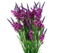 Pegdev - Pdl - Pack Of 6 Artificial Larkspur Stems 80Cm Silk Flowers In Pink For Home Or Displays
