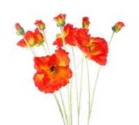 Pegdev - Pdl - Pack Of 6 X 100Cm Artificial Poppy Stem With 2 Flowers - Elegant Faux Poppies For Display