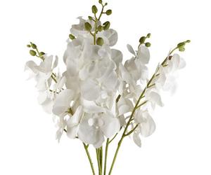 Pegdev - Pdl - Pack Of 6 X 100Cm Artificial White Phalaenopsis Orchid Stem - Elegant Faux Flowers