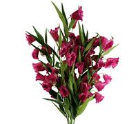 Pegdev - Pdl - Pack Of 6 X 100Cm Trumpet Flower Stems Fuchsia Pink Silk With Wired Stems For Arrangement