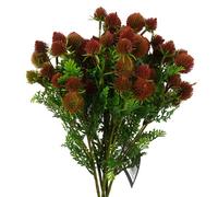 Pegdev - Pdl - Pack Of 6 X 55Cm Artificial Red Craspedia Stem - Decorative Flower Balls For Crafts