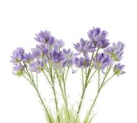 Pegdev - Pdl - Pack Of 6 X 60Cm Starflower Stems With 30 Purple Silk Flowers For Floral Arrangements And Décor