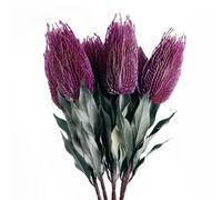 Pegdev - Pdl - Pack Of 6 X 75Cm Banksia Menziesii Flower Stems Pink Faux Floral Arrangement For Home Or Events