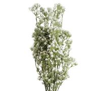 Pegdev - Pdl - Pack Of 6 X 85Cm Artificial Gypsophila White Stem - Baby's Breath For Weddings And Decor