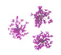 Peggy Sage Dried Flower Nail Decor Pink Bouquet