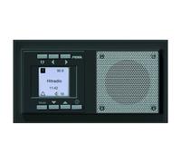 Peha UP Radio Clock & Alarm Function Flush Mount Radio Anthracite Lit Display