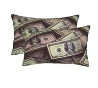 peiyeety 2 Pack Pillow Cases with Zipper, Soft Breathable Pillowcase for Hair and Skin, 14"x20" Pillow Covers for Sleeping Gift Bed A Bunch Hundred Dollar Bills Pillowcases