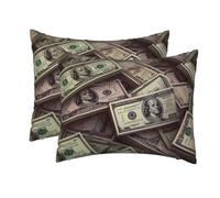 peiyeety 2 Pack Standard Size Pillow Cases, Soft Breathable 20"x26" Pillow Covers for Sleeping Bed A Bunch Hundred Dollar Bills Pillowcases