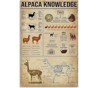 peiyeety Alpaca Knowledge Metal Signs Alpaca Infographic Plaques Herders Reference Guide Tin Poster Decor Farmhouse Farm Home Wall Hanging Sign 5.5x8 inches