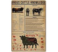 peiyeety Angus Cattle Knowledge Metal Signs Vintage Angus Cattle Chart Plaques Herdsman Study Guide Retro Poster Decor Home Farmhouse Farm Wall Art 8x12 Inch