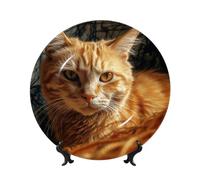 peiyeety Bone China Decorative Plate with Display Orange Kitten Ceramic Plates Crafts Art Decor Dessert Ceramic Ornament Porcelain for Living Room Kitchen Table Home Decor