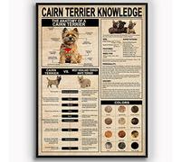 peiyeety Cairn Terrier Knowledge Metal Signs Vintage Cairn Terrier Infographic Posters Kennel Science Wall Decor Dog Lovers Home Pet Shop Farmhouse Plaque Decoration 12x16 Inches