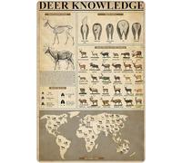 peiyeety Deer Knowledge Metal Tin Signs Deer Breeds The World Retro Poster Popular Science Educational Charts Wall Plaques Decor For Home Classroom Room Office 8x12 Inch