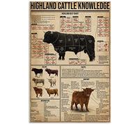 peiyeety Highland Cattle Knowledge Metal Tin Signs Highland Beef Chart Retro Poster Popular Science Educational Charts Wall Plaques Decor For Home Classroom Room Office 12x18 Inch