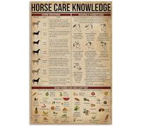 peiyeety Horse Care Knowledge Metal Tin Signs Horse Care Information Retro Poster Popular Science Educational Charts Wall Plaques Decor For Home Classroom Room Office 12x17 Inch