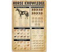 peiyeety Horse Knowledge Metal Tin Signs Horse Face & Leg Markings Retro Poster Popular Science Educational Charts Wall Plaques Decor For Home Classroom Room Office 12x17 Inch