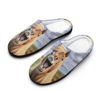 peiyeety Horse Laughing Mens Memory Foam Slippers Lightweight Cotton House Shoes for Indoor Outdoor44-45