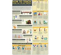 peiyeety How To Teach Your Cat To Do Tricksi Metal Tin Signs Cats Knowledge Information Retro Poster Popular Science Educational Charts Wall Plaques Decor For Home Classroom Room Office 12x16 Inch