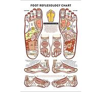 peiyeety Massage Therapist Knowledge Metal Signs Vintage Office Decor Foot Reflexology Chart Tin Poster Home Club Hospital Wall Decoration Plaque 8" x 12"