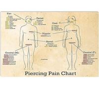 peiyeety Piercing Pain Chart Metal Tin Signs Wall Decor Body Piercing Knowledge Retro Poster Tattoo Artist Reference Guide Plaques Tattoo Parlor Club Home 8" x 12"
