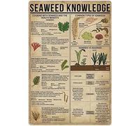 peiyeety Seaweed Knowledge Metal Tin Signs Seaweed Infographic Wall Art Posters Algae Encyclopedia Guide Plaques Home Room Farmhouse Decor Aluminum Sign Gift 8" x 12"