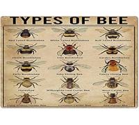 peiyeety Types Of Bee Metal Tin Signs Bee Knowledge Information Retro Poster Popular Science Educational Charts Wall Plaques Decor For Home Classroom Room Office 12x17 Inch