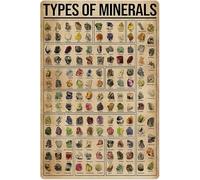 peiyeety Types Of Minerals Tin Sign Old Fashioned Knowledge Popular Science Information Table Home Farm School Garage Bar Club Bedroom Cafe Gift Decoration Gift For Women Men 8x12 Inch
