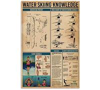 peiyeety Water Skiing Fundamentals Metal Signs Water Skiing Knowledge Posters Room Club Wall Decor Vintage Art Plaque 8"x12"