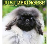 Pekingese 2026 12 X 12 Wall Calendar