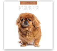 Pekingese 2027 Square Wall Calendar: Original Red Robin Publishing Ltd-Kalender [Mehrsprachig] [Kalender]