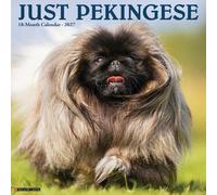 Pekingese 2027 Wall